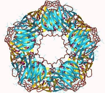 c2Breactive2Bprotein